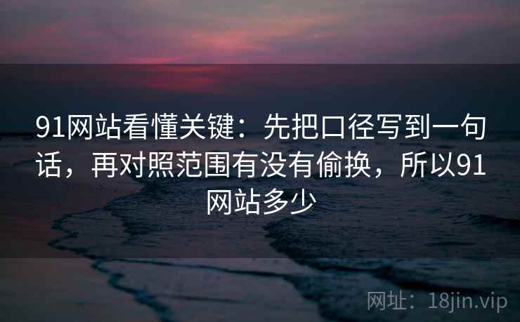 91网站看懂关键：先把口径写到一句话，再对照范围有没有偷换，所以91网站多少